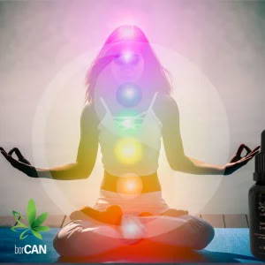 2er-Set borCAN-Complex Power - Image 2