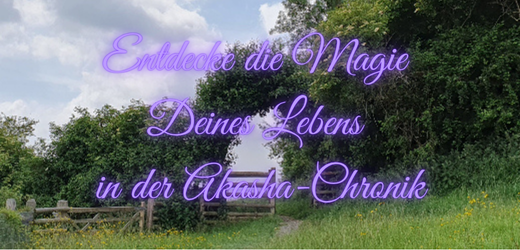 Lebensarchitektin Lebensarchitektin