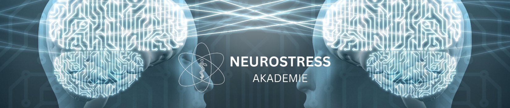 Neurostress-Akademie