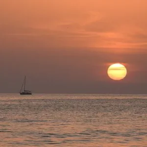 1:1 Mentoring, für Social-Media, Online und Empfehlungs-Marketing