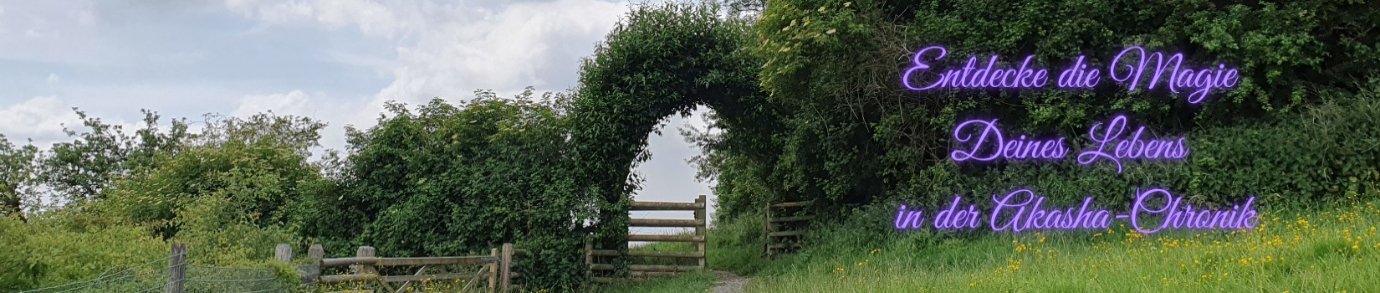 Lebensarchitektin Lebensarchitektin